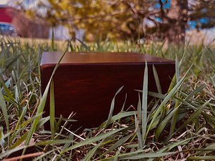 Rosewood Box