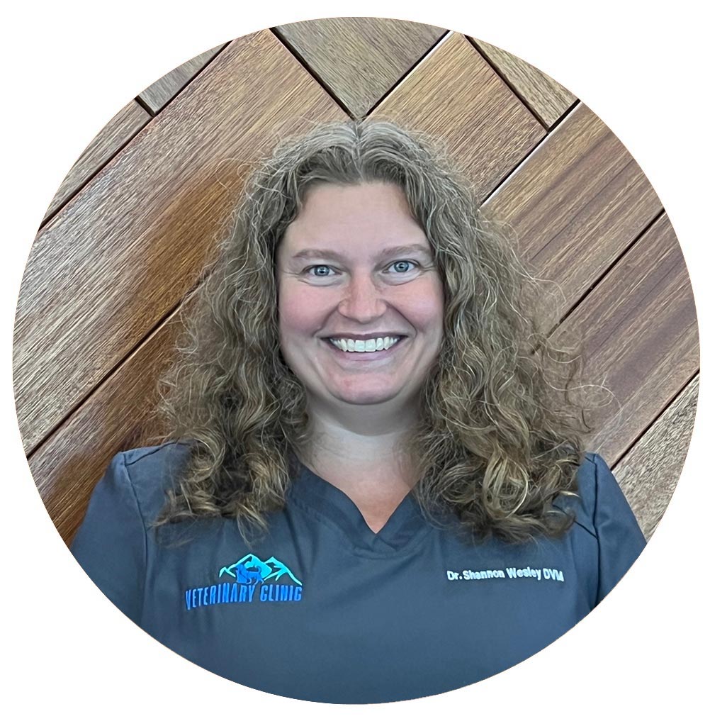 Dr Shannon Wesley, DVM