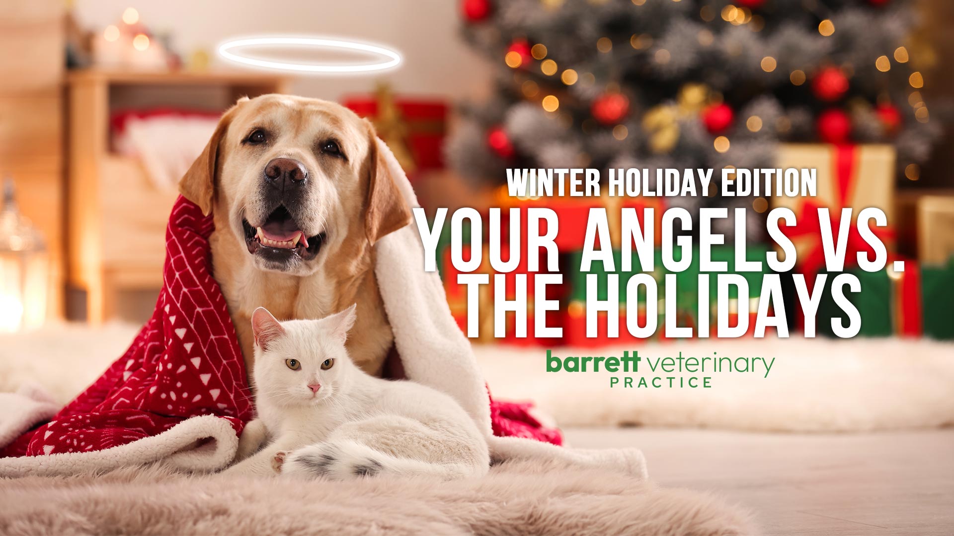 Your Angels vs. The Holidays with Barret Vet Practice
