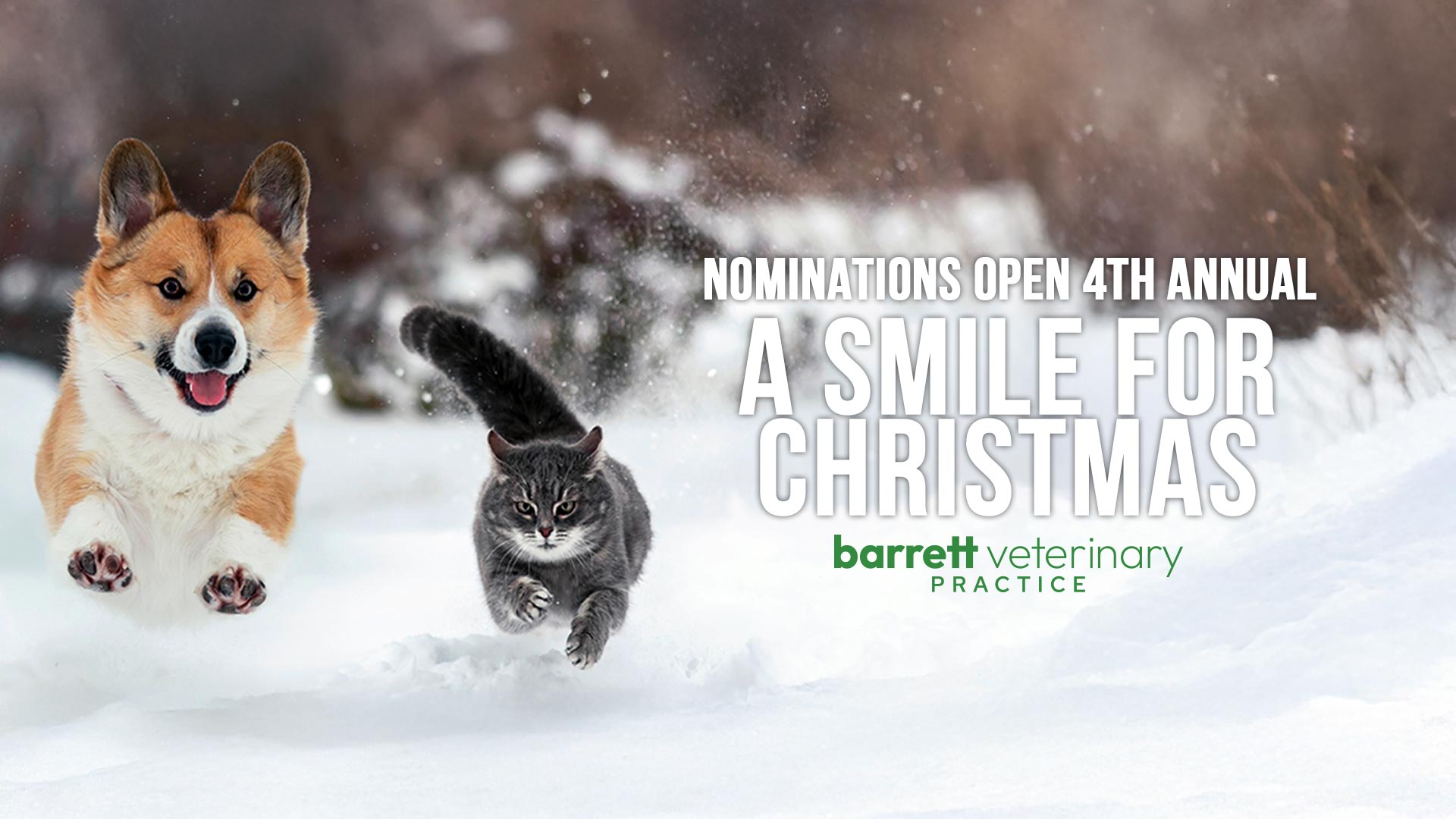 A Smile For Christmas from Barrett Veterinary Practice