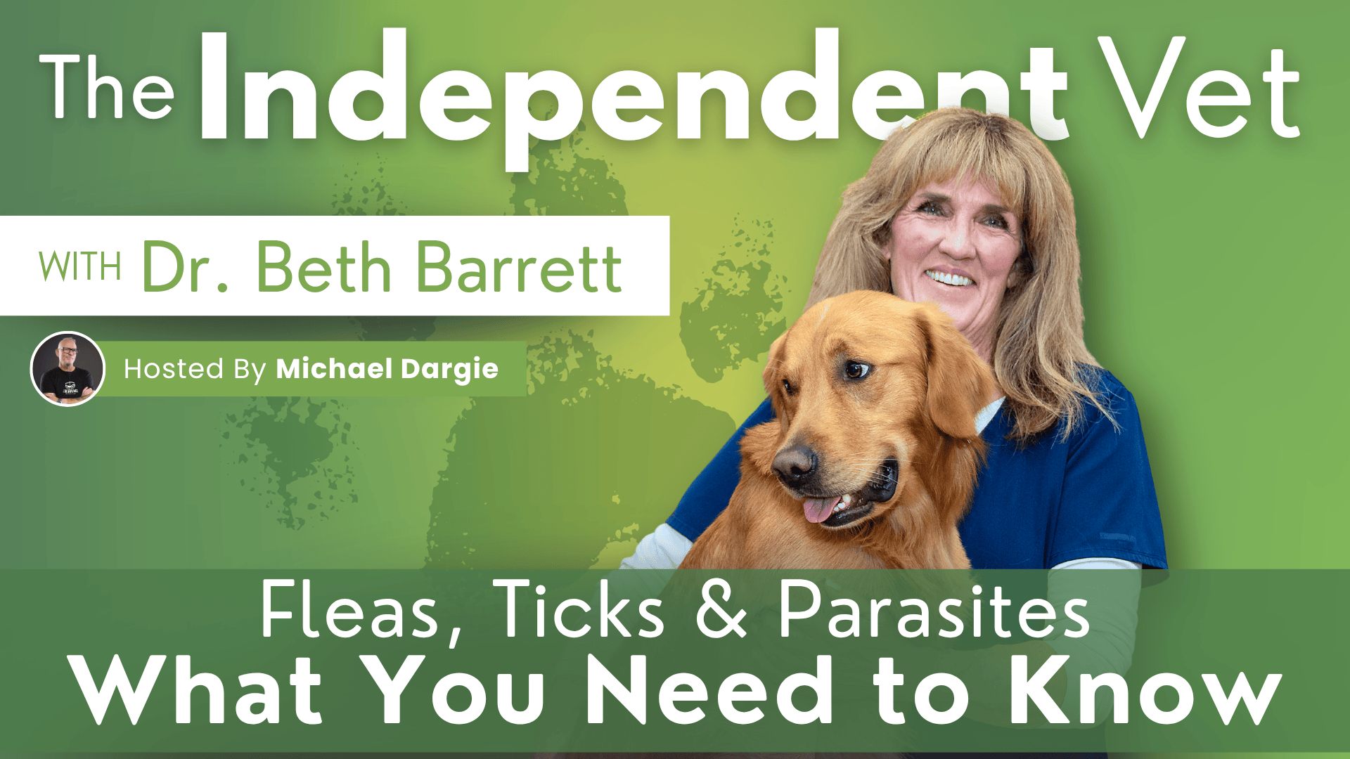 Fleas, Ticks, and Parasites - what you need to know.