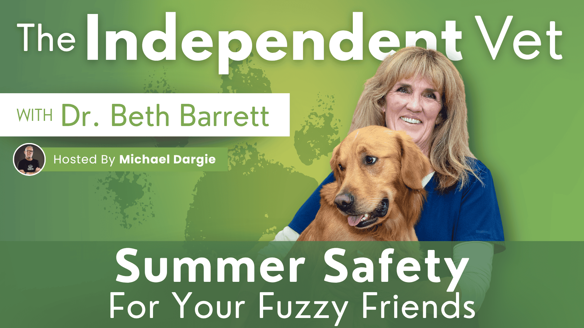 Summer Safety For Your Fuzzy Friends