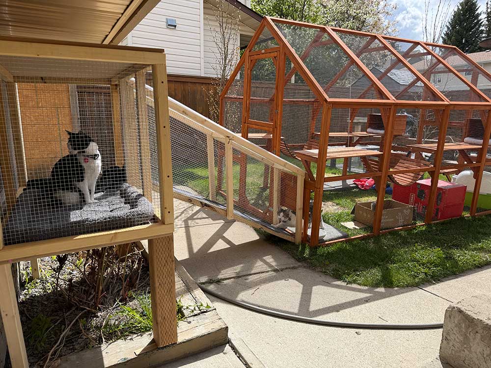 Charlie and Mabel's outdoor catio and tunnel system