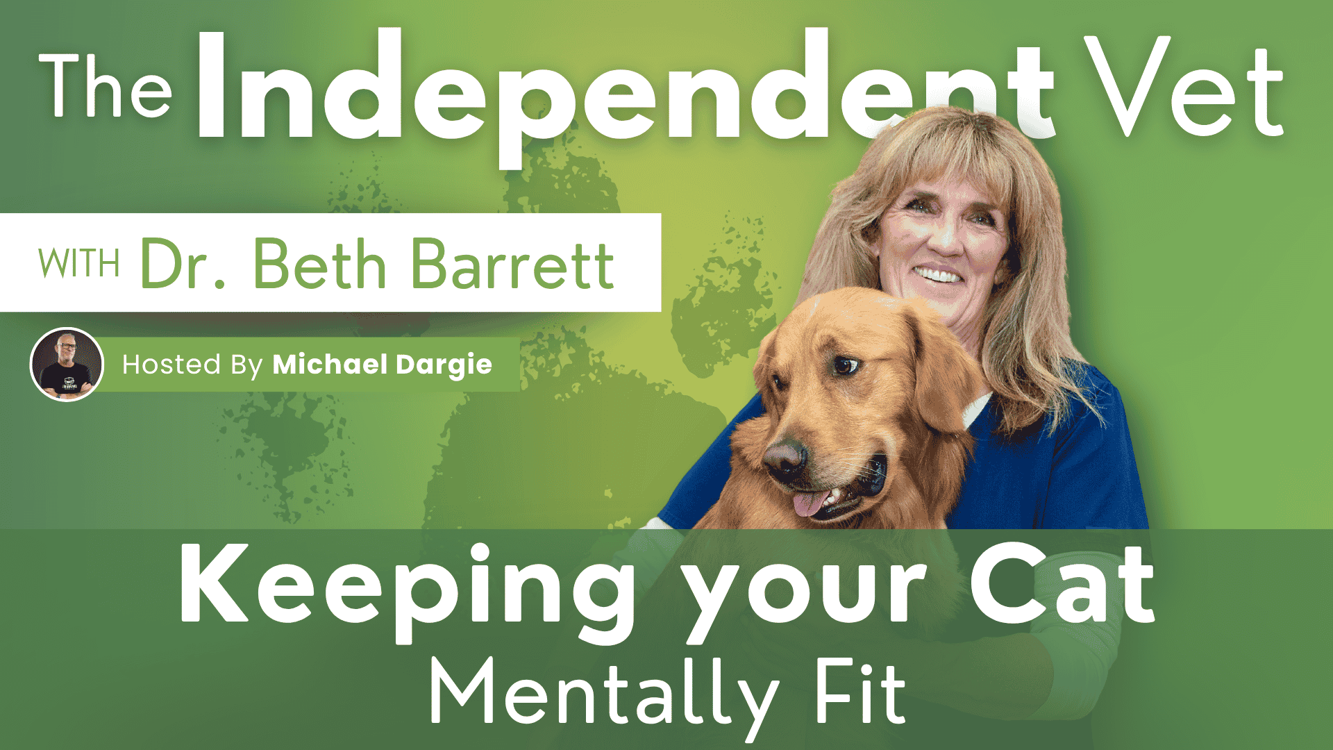 Keeping your cat mentally fit with Dr Beth Barrett