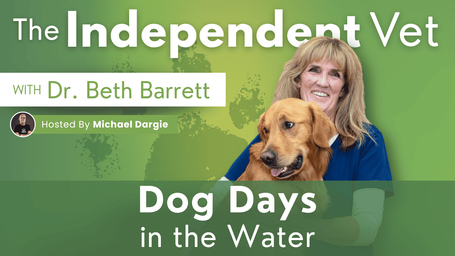 Dog Days In The Water with Dr Beth Barrett