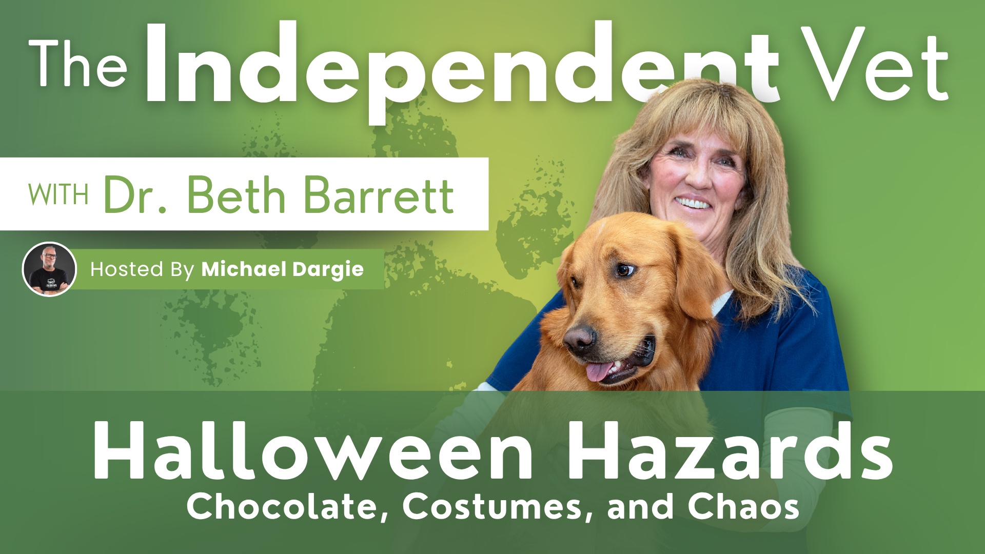 Halloween Hazards: Chocolate, Costumes & Chaos - The Independent Vet podcast